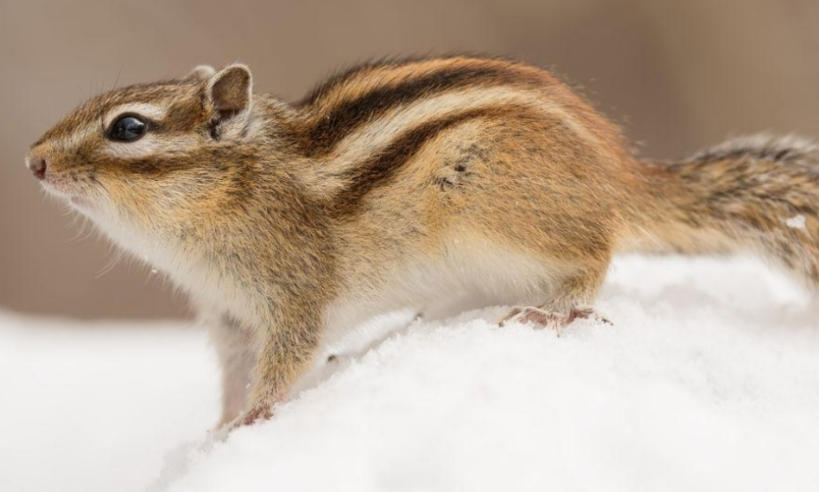 上海泽宇智能科技有限公司轮播图4